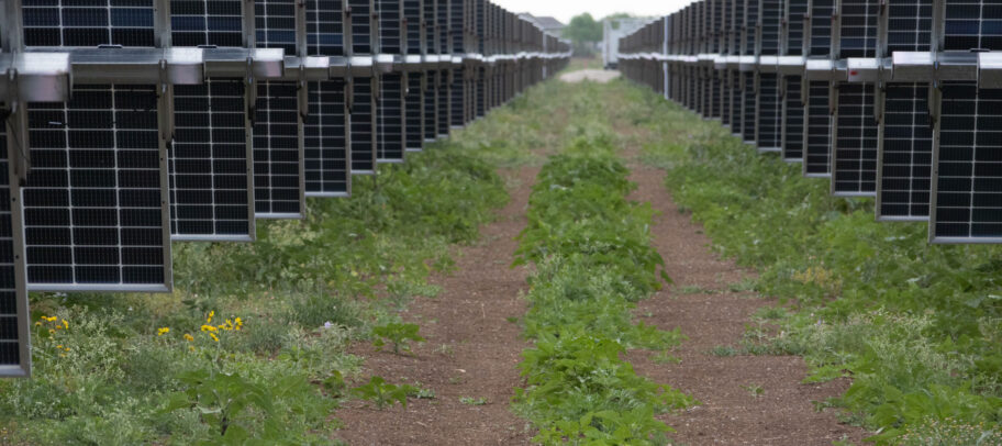 WHC-SMJV_arava_solar-panel-farm_024_Building on our legacy to power our future together
